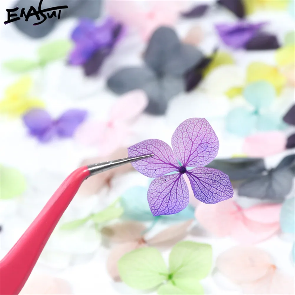 Dried Flowers Nail Art Decoration DIY Natural Pressed Flora Gel Manicure Stickers Hydrangea Leaf 3D Decor Nail Tips