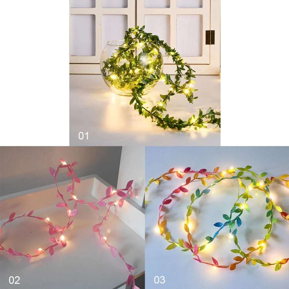 305441_no-logo_305441-1-14-g