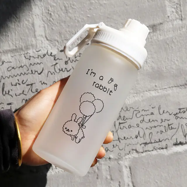 500ml Kawaii Small Daisies Milk Water Bottle With Straw Portable Leakproof Frosted Glass Fashion Cute Drinking Coffee Cup Without rope