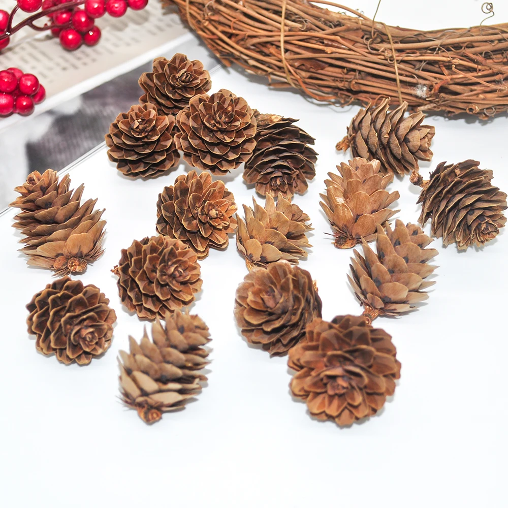 Natural pine cones (9)