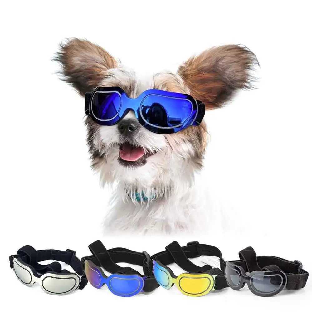 sunglasses on dogs