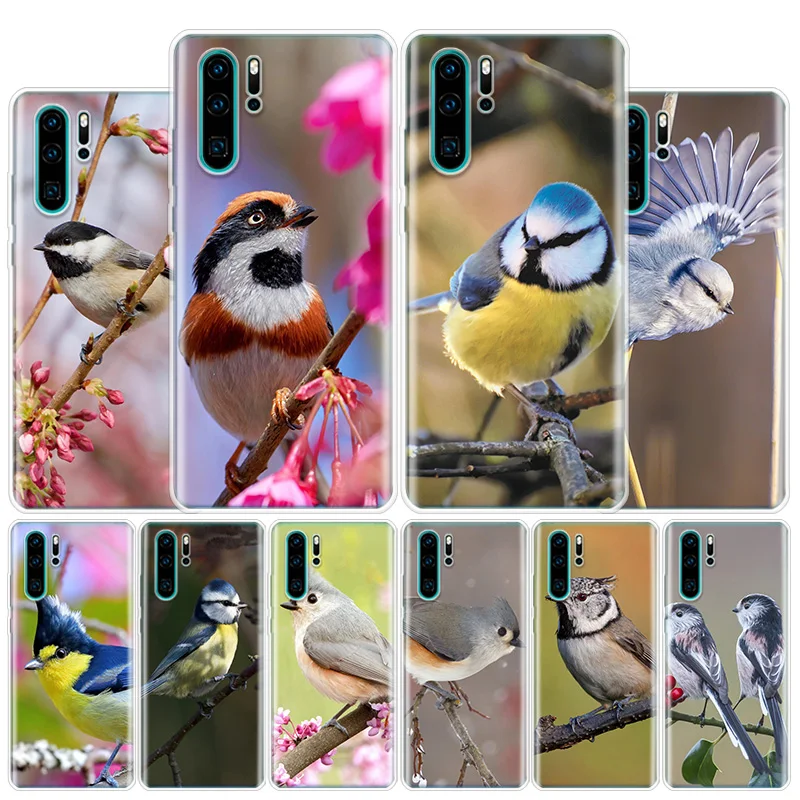 Magpie bird Cover Phone Case For Huawei Y5 Y6 Y7 Y9S P Smart Z 2019 Honor 10 Lite 9 20 9X 8S 8X 8A Pro 7A 7X Coque Fundas | Мобильные
