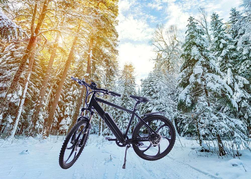 Cheap EZBIKE ebike Electric mountain bike SAVA e bike Electric bicycle 36V ebike Pedelec bike Pedelec ebike City Road 24 speed 13