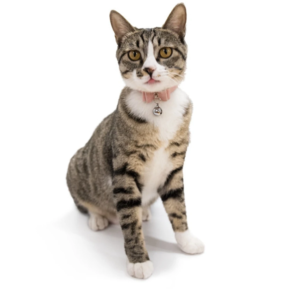 Cat Collar With Bell Collar For Cats Puppies Kitten Cat Collars Leads Leashes Collars For Cats Dog Chihuahua Pet Products PQ004 (1)
