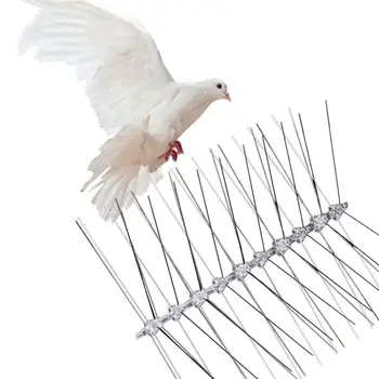 

Stainless Steel Pigeon Repellent Spikes Polycarbonate Starlings Pest Control for Fruit Garden
