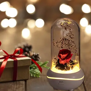 

Preserved Flower Rose Lamp Mini USB Rechargeable Colorful Night Light Romantic Valentine's Day Birthday Christmas Gift Decora