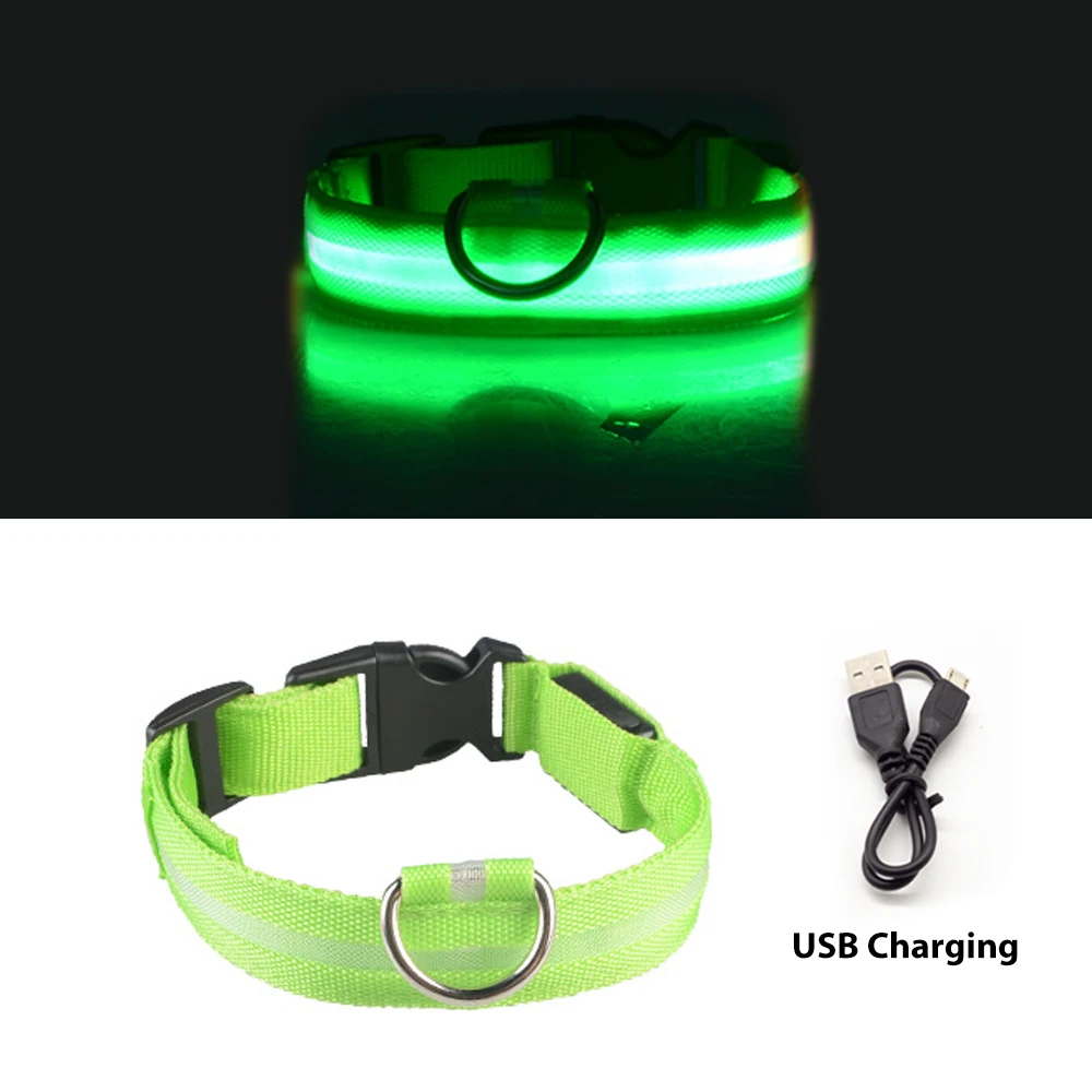 USB Charging Chiens Led Dog Collar Perros Anti-Lost/Avoid Car Accident Luminoso Safety  Personalizado Battery Big Pet Products 