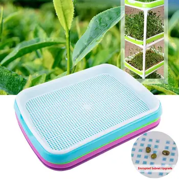 

Plastic Seeding Nursery Tray Seed Sprouter Tray Seed Sprouting Tray Soil-free Seedling PlanterTray Hydroponic Seedling Container