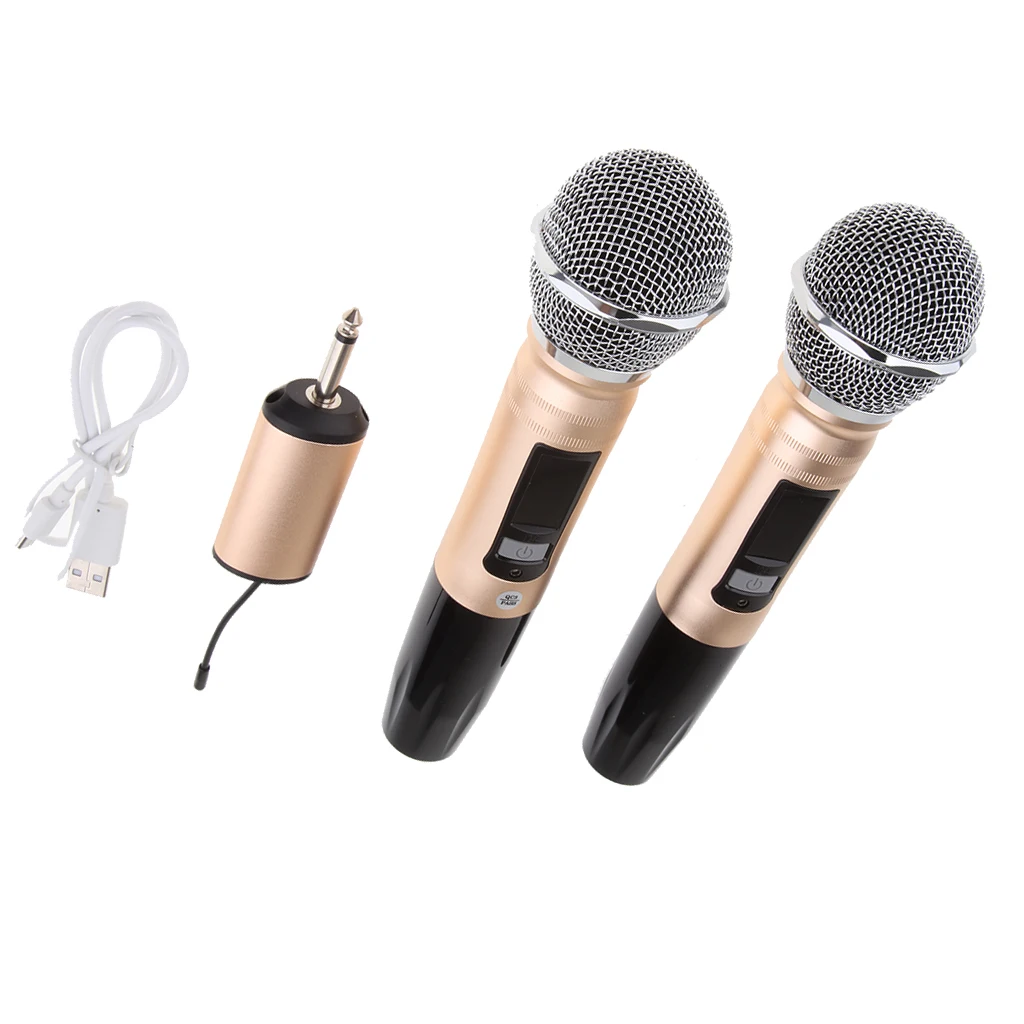 2 Channel Dual Handheld Cordless Microphone Mic System Set for Home Party KTV Wedding