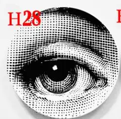 H28 Тарелки черно-белые иллюстрации подвесные блюда пробная комната Домашний отель Декор лицо Керамические ремесла - Color: H28
