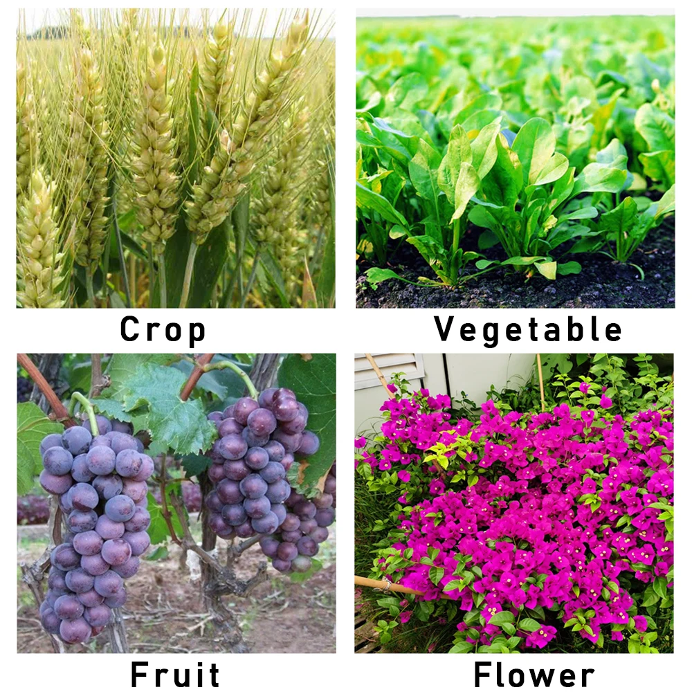 WSF Water-soluble Fertilizers Containing Calcium And Magnesium Chelated Fertilizer Plant Nutrition For Garden 30g