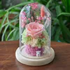 Diameter=10cm Different Height=12cm 15cm 18cm Log Base Glass Dome Home Decoration DIY Cover Friend Favor Gift Wedding Live Prop 4