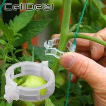 Fixing-Tool Supports Plant Clips Gardening-Supplies Tomato Vegetable Grafting Plastic