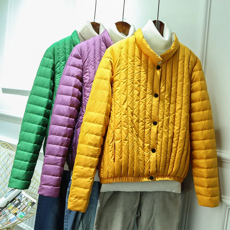 Легкая, приталенная, стильная, со стоячим воротником, корейский стиль, пуховик для женщин, осень и зима, новые продукты, короткая белая утка d