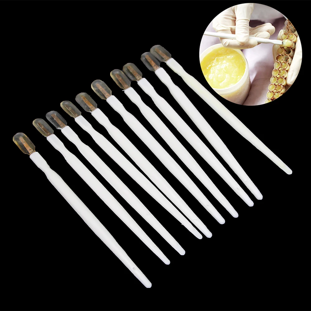 Beekeeping-Tools Bee-Equipment-Supplies Grafting Royal-Jelly Bees Apiculture Squeegee-Pen