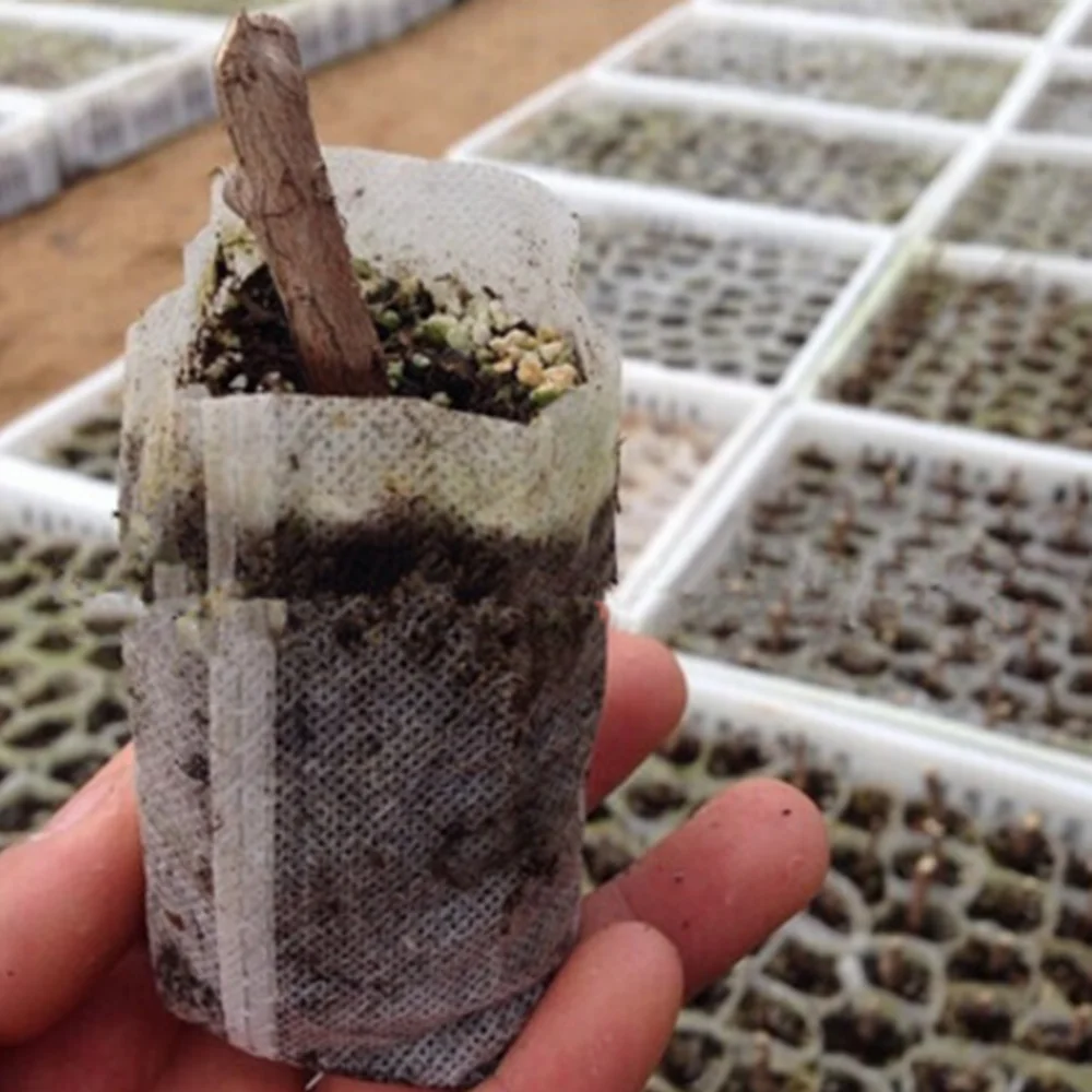 50pcs/Pack Garden Supplies Environmental Protection 8*10cm Nursery Pots Seedling Raising Bags Fabrics Garden Planting GT015