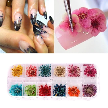 

1Real Dry Dried Flowers Nail Art Decoration For UV Gel Nails Sticker