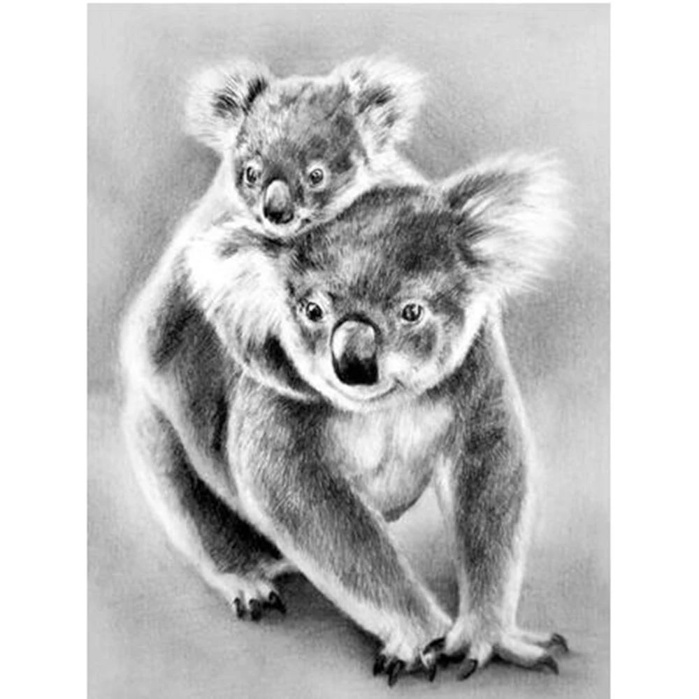 koala love drawing