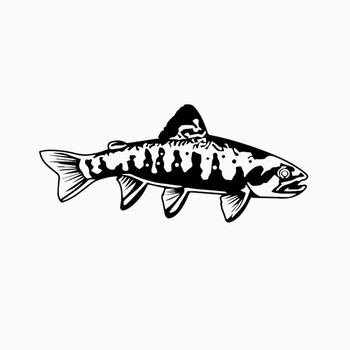 

Dawasaru Trout Fly Fishing Car Sticker Personalized Sunscreen Decal Laptop Suitcase Motorcycle Auto Accessories PVC,16cm*7cm
