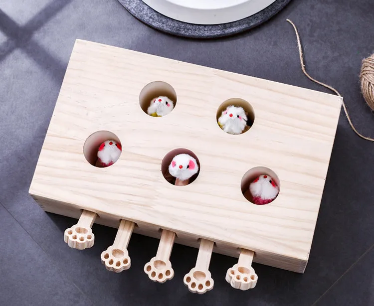 12459560351_1235814850