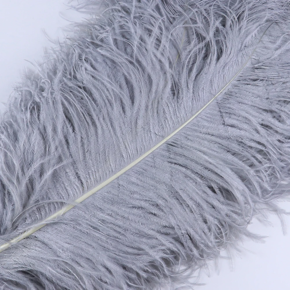 TS0160017 60-65cm ostrich feathers 3