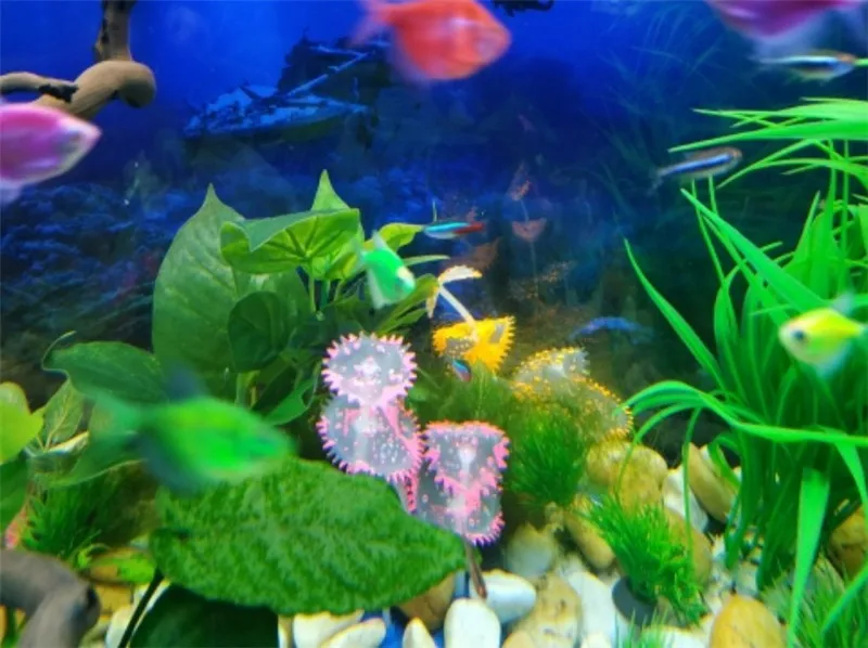 {6A582AAE-683D-4F63-BBE3-7A4B6365DBD9}_20190718191152