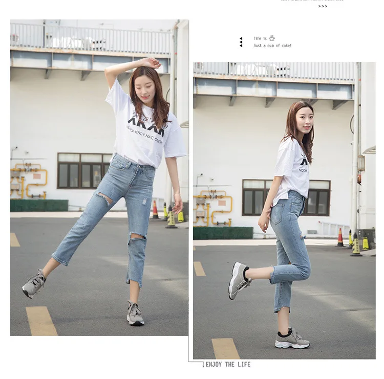 9143337119_325444340