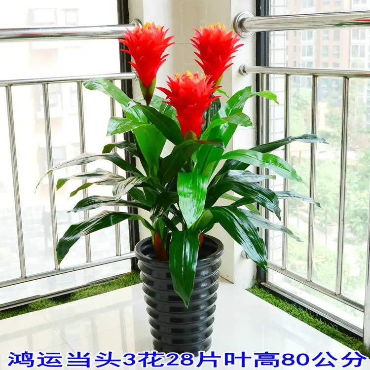 DIY Project Artificial Green Plant Home Decor Fake Landing Trees Flower Decoration Not Contain Vase - Цвет: D not contain vase