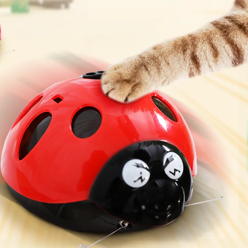 [MPK Store] Catch Me If You Can Super Fun Cat Toy, Pet Toy, Watch Our Video To Know Moretoys