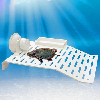 

Acrylic Turtle Basking Platform with Feeding Trough Rest Terrace Tool Non Toxic Strong Suction Turtle Aquarium Pet Supplies