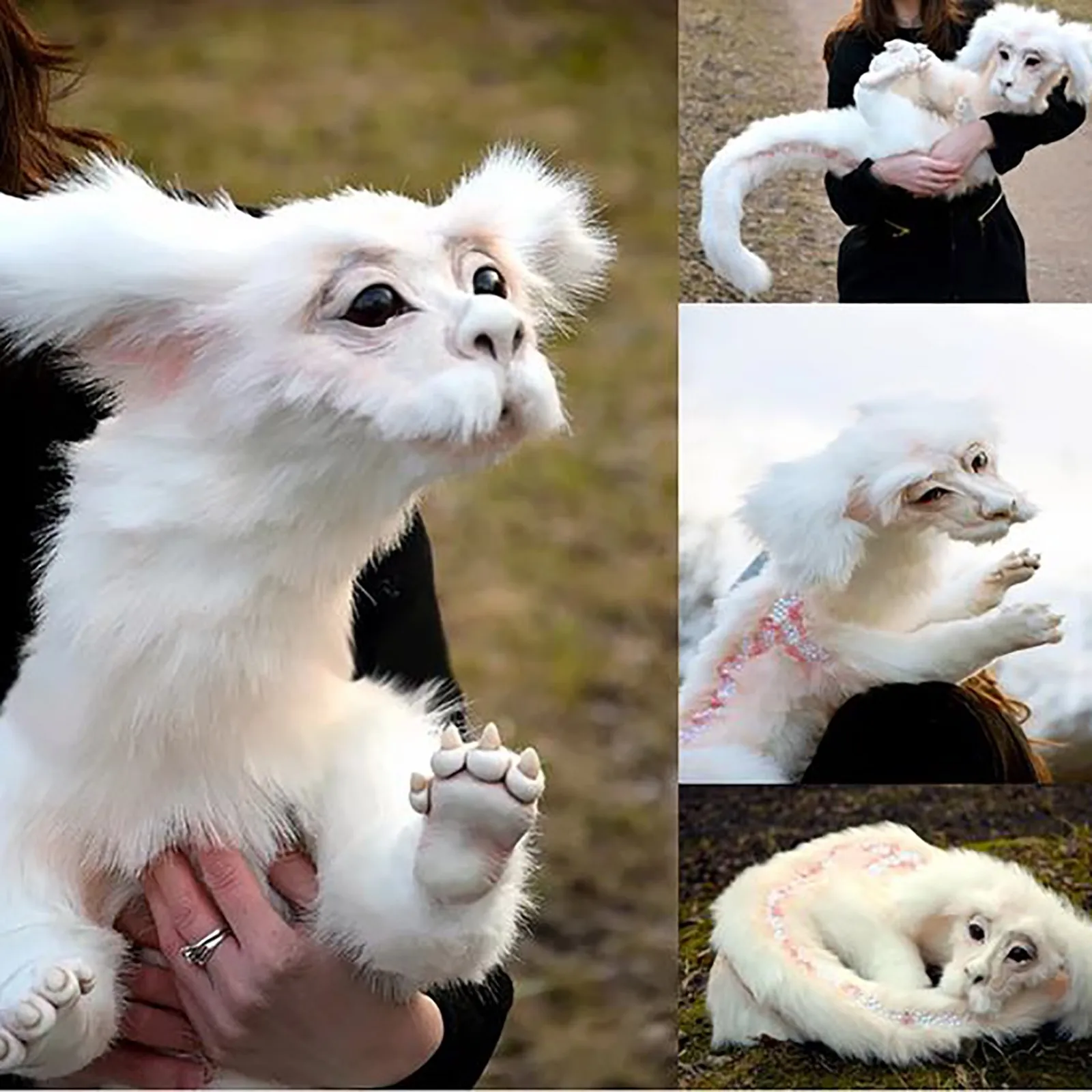 Falkor From The Neverending Story Plush Doll Toys Gift For Kids And Adluts Outside Hang Toy Cute Auto Accessories Car Decoration | Игрушки и