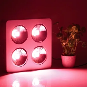 

800W COB Led Grow Light Full Spectrum with reflector for Indoor Greenhouse Hydroponic Plants Veg Bloom Flowering Grow Tent