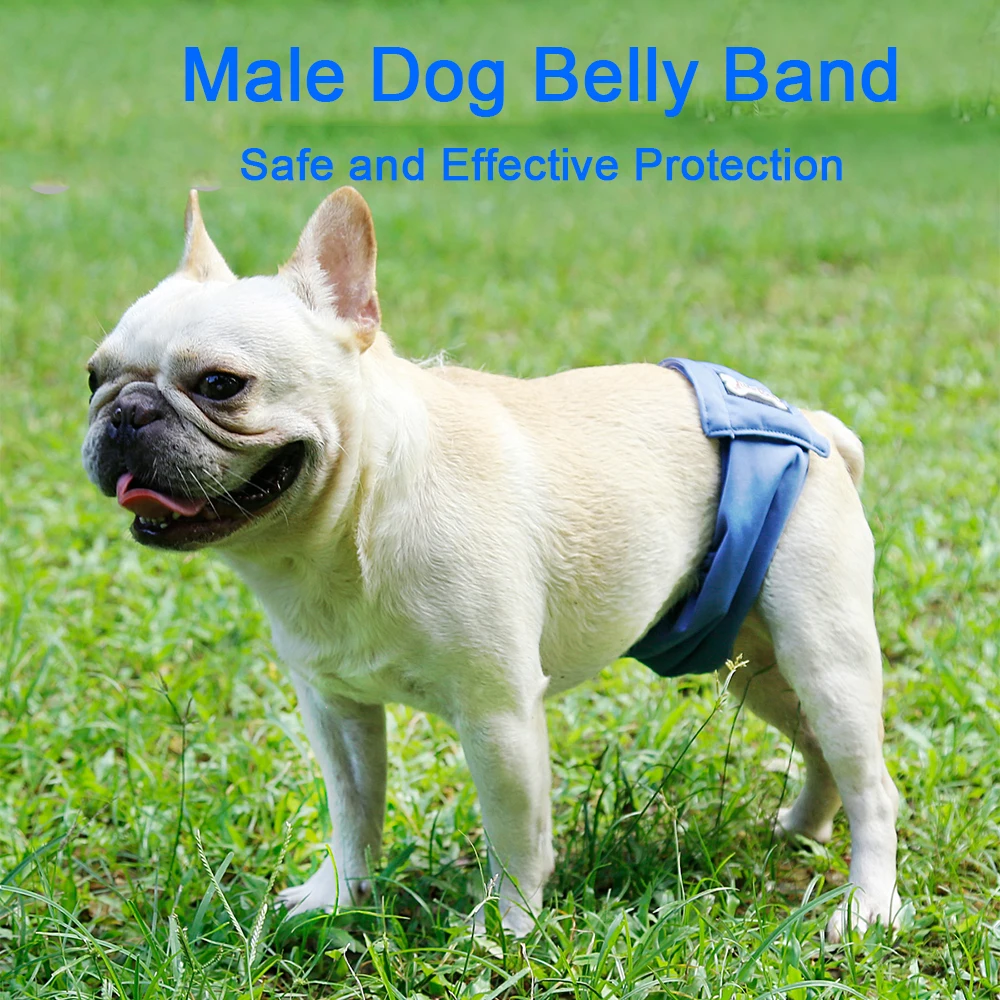 puppy belly bands for males