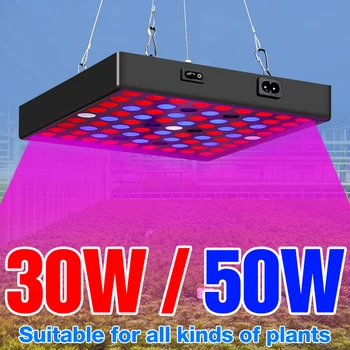 

220V Full Spectrum LED Plants Grow Light EU US UK Plug Greenhouse Seedling Fito Lamp LED 30W 50W Indoor Hydroponics Phyto Lampe