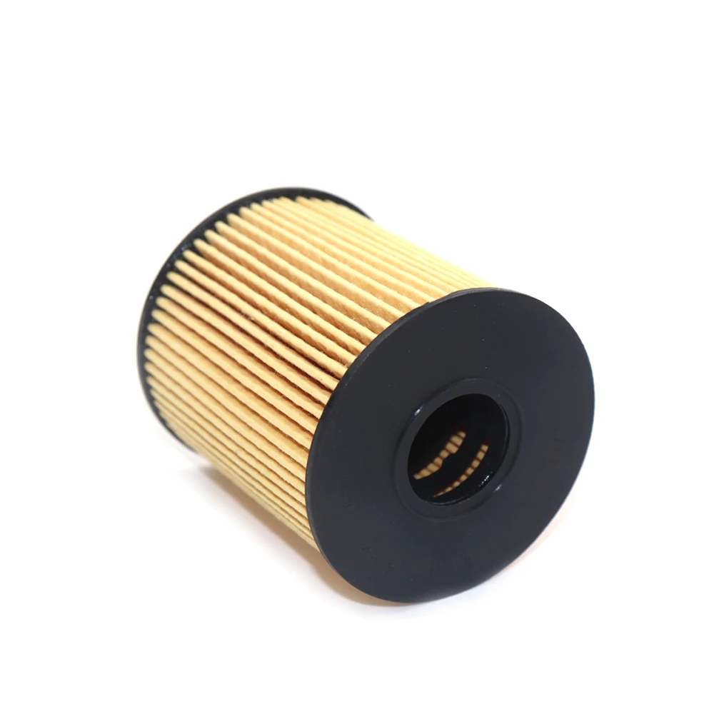 Oil Filter 1109X3 For Peugeot 207 1.6 2006-2013 206 3008 307 308 407 Citroen C4 2004-2011 C3 C5 DS3 DS4 DS5 Ford Transit 1109Z1 car oil filter,car filter