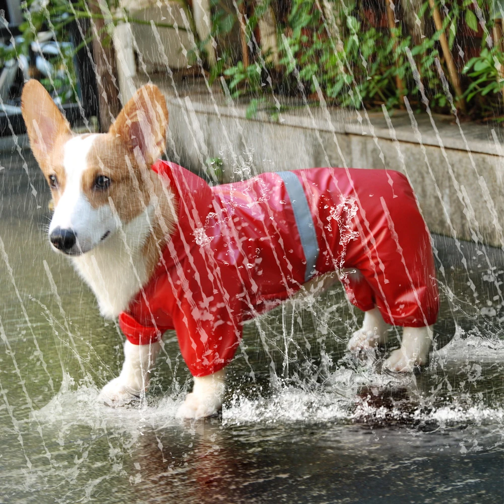 犬用防水レインコート 反射レインスーツ 犬用日焼け止め アウトドアウェア ペット用品 Aliexpress Home Garden