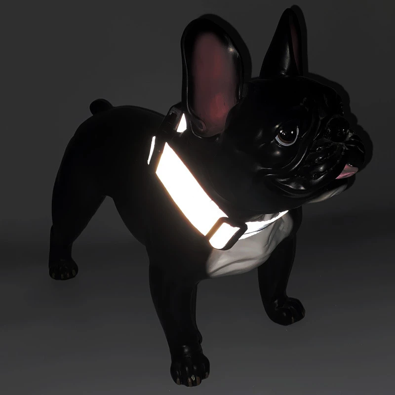 Personalized Collar (4)