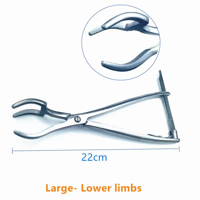 Large