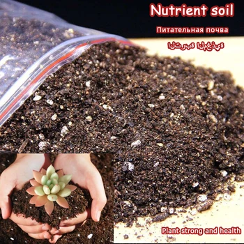 

50g Nutrient Bodem Meststof NPK Voor Plant Bloem Succulent Tuin Bonsai nutrients for plants plant fertilizer Home Garden Decor