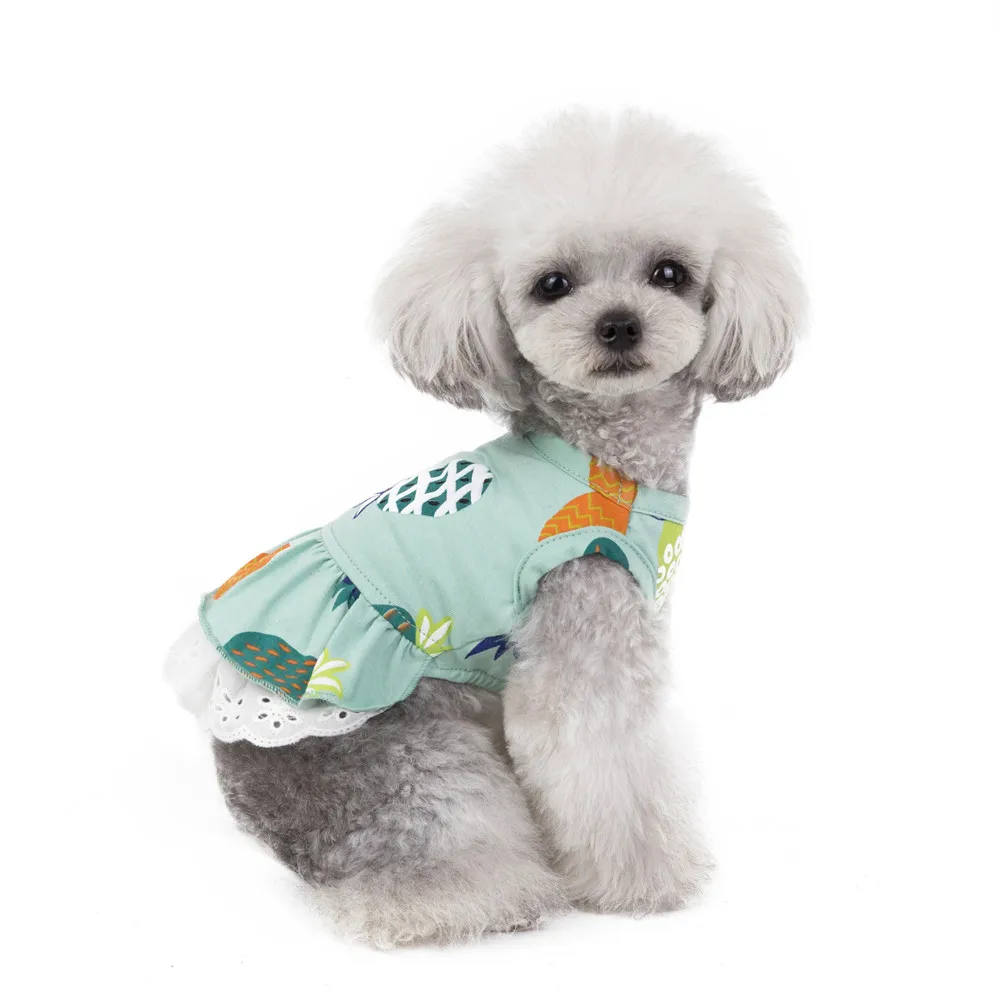 Fruit Design Summer Dress For Dog Pet Clothes Wedding Dress Skirt Puppy Small Dog Clothing Spring Fashion Jean Pet Clothes XS-XL (6)