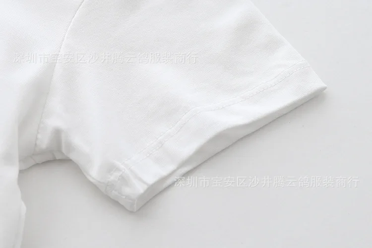 Manufacturers Direct Supply Childrenswear Men's Big Kid Brushed T-shirt Wholesale Summer New Style INS Hot Selling Flocked Short
