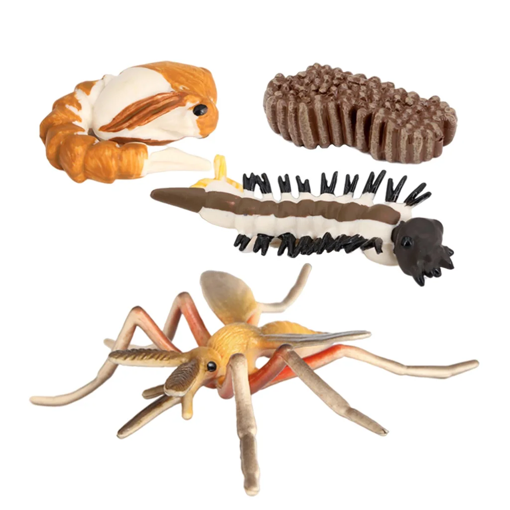 Life Cycle Figures of   Early Education Animal Figures, Biology Science Students Classroom Toys