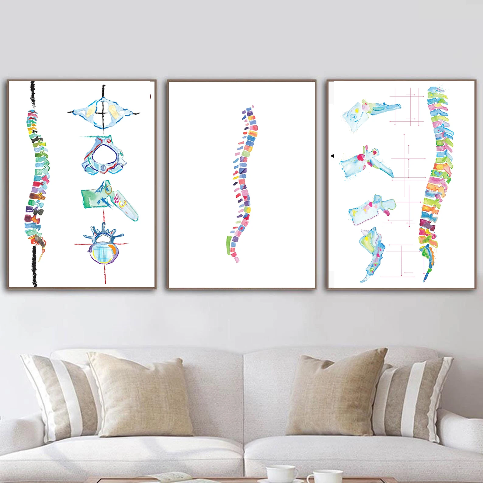 

Watercolors Spine Anatomy Poster Medical Canvas Painting Chiropractor Wall Art Pictures For Physical Therapist's Room Prints
