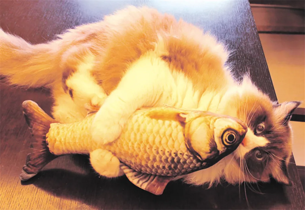 Pet-Soft-Plush-3D-Fish-Shape-Cat-Toy-Interactive-Gifts-Fish-Catnip-Toys-Stuffed-Pillow-Doll (2)