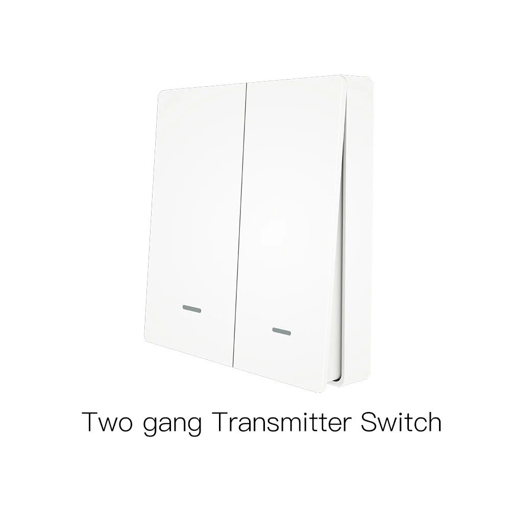 2 Gang Vice Switch WiFi умный настенный светильник, переключатель RF433, кнопочный передатчик, умная жизнь, приложение Tuya, дистанционное управление, работает с Alexa Google Home - Цвет: 2 Gang Vice Switch