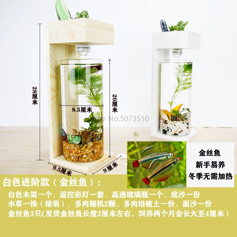 Creative Desktop Fish Tank Home Desk Ecological Fish Tank Microscopic Fleshy Thai Fish Tank Aquarium Plastic Fish Tank - Цвет: Синий