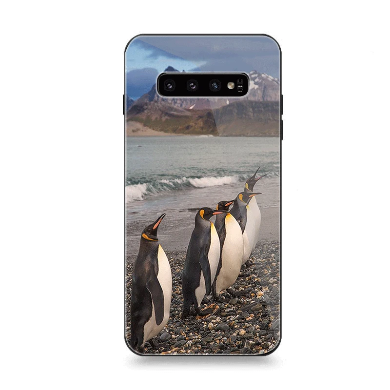 Мобильный чехол для телефона Стекло для samsung A10 A20 A30 A40 A50 A60 A70 S7 край S8 Plus Note 8 9 S10 чехол с милым пингвином;