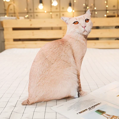 50CM 3D Simulation Cats Pillow Cute Cat Washable Plush Stuffed Pillowxa 