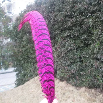 

10 pcs/lot 32-40 inch/80-100 cm rose Lady Amherst Pheasant feather for Home Decoration,Wedding Party Decoration