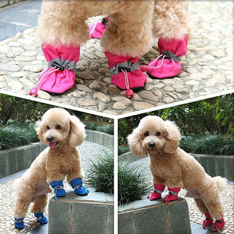shoes dogs.jpg_.webp